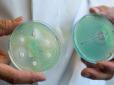 Американські вчені створили антибіотик, здатний перемогти супербактерії