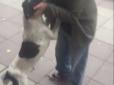 Хіти тижня. Шукали один одного усюди три роки: Зворушлива зустріч хазяїна із загубленим собакою (фото, відео)