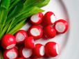 Вітаміни весни: Медики назвали корисні і шкідливі властивості редису