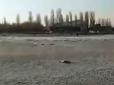 Хіти тижня. Явище побило всі рекорди: З Азовським морем трапилася катастрофа (відео)