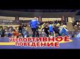 Хіти тижня. Борці України і Грузії влаштували масову бійку прямо під час турніру (відео)