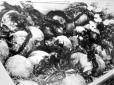 Хіти тижня. Черепи 129 молодих дівчат знайдено поблизу Івано-Франківська: Всі були розстріляні радянськими окупантами при відступі перед німецькими військами