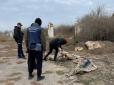 На Херсонщині знайшли тіла подружжя фермерів - вони були закатовані у власному підвалі