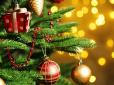 А ви це знали? Якого числа ставити ялинку на Новий рік 2023 - повір'я, прикмети і вдалі дати