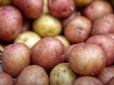 А ви це знали? Як правильно зберігати картоплю взимку, щоб вона не ставала солодкою