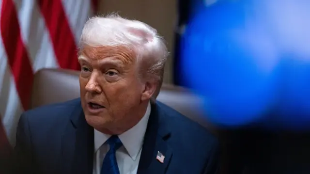 Небезпечний курс: У НАТО побоюються зближення Трампа з Кремлем