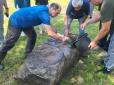 Віднайдена туристами на Житомирщині в хащах загадкова каменюка виявилась тисячолітнім артефактом надзвичайної цінності