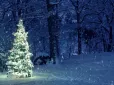 Буде справжня зима? Напередодні Різдва різко похолодає