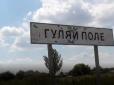 Ворог отримує потужну відсіч: РФ не може завести групи закріплення в Гуляйполе, тривають бої, - Волошин