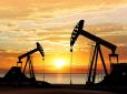 Оце так! Євросоюз може відкласти відмову від російських нафти та газу